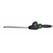 Taille-haies télescopique batterie RBAT-20 20v avec batterie 2 amp et chargeur