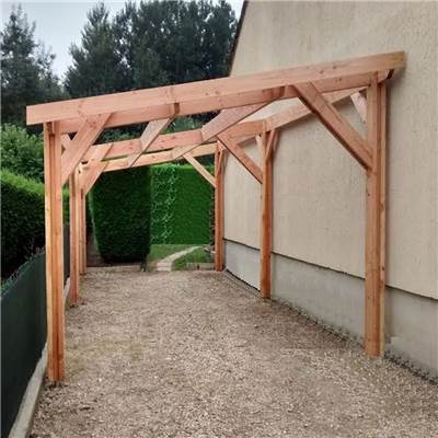 Abri Une Pente, Bois DOUGLAS Français