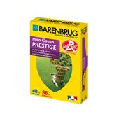 Gazon prestige 1 Kg