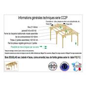 Abri 2 pentes Bois Douglas France Carport Auvent Camping-car 350x1050cm H 320cm