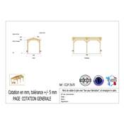 Abri 2 pentes Bois Douglas France Carport Auvent Camping-car 350x700cm H 320cm