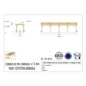 Abri 2 pentes Bois Douglas France Carport Auvent voiture 300x1250cm H 250cm