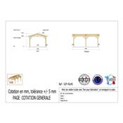 Abri 2 pentes Bois Douglas France Carport Auvent voiture 450x450cm H 250cm