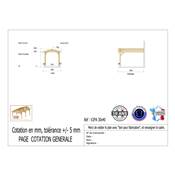 Abri 2 pentes Adossé Bois Douglas France Carport Auvent voiture 300x400cm H 250cm
