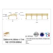 Abri 2 pentes Faitage Décalé Bois Douglas France Carport Auvent voiture 500x1150cm H 250cm