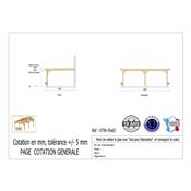 Abri Toit Plat Adossé Bois Douglas France Carport Auvent voiture 450x650cm H 250cm