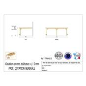Abri Toit Plat Adossé Bois Douglas France Carport Auvent voiture 450x750cm H 250cm