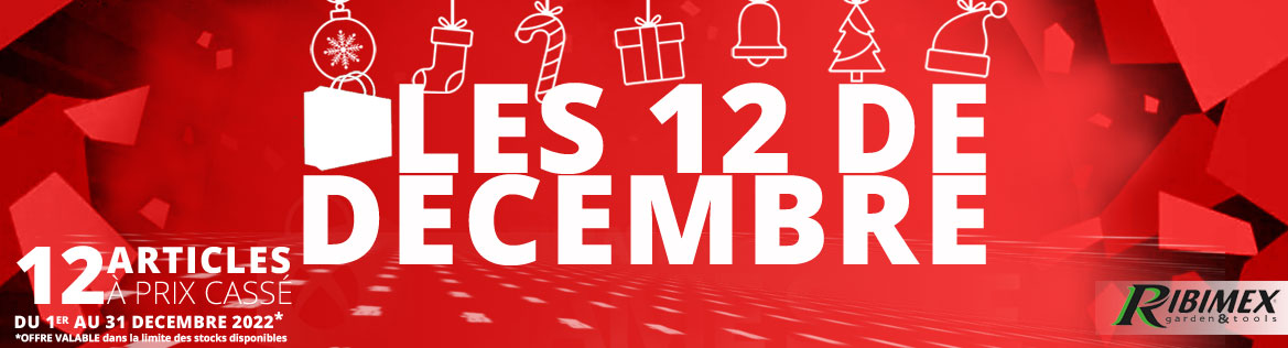 Les 12 de Décembre 20% de remise sur vos achats de Noël, coffrets d'outillage, groupes électrogènes pour ne pas passer les fêtes de fin d'année dans le noir hormis le 31 Décembre aux 12 coups de minuits, les jerricans de 5, 10 ou 20 litres !