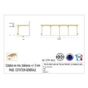 Abri Toit Plat Adossé Bois Douglas France Carport Auvent Camping-car 450x1150cm H 320cm