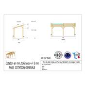 Abri 1 pente Bois Douglas France Carport Auvent voiture 350x650cm H 250cm