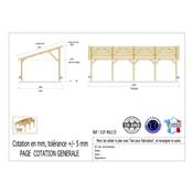 Abri 1 pente Bois Douglas France Carport Auvent voiture 400x1150cm H 250cm