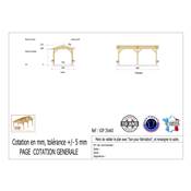 Abri 2 pentes Bois Douglas France Carport Auvent voiture 350x600cm H 250cm