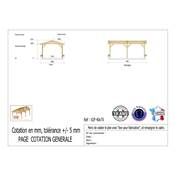 Abri 2 pentes Bois Douglas France Carport Auvent voiture 400x700cm H 250cm