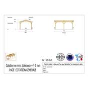 Abri 2 pentes Bois Douglas France Carport Auvent voiture 450x700cm H 250cm