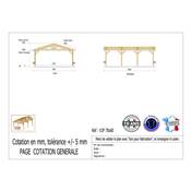 Abri 2 pentes Bois Douglas France Carport Auvent voiture 700x800cm H 250cm