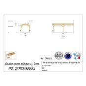 Abri 2 pentes Adossé Bois Douglas France Carport Auvent voiture 350x750cm H 250cm