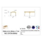 Abri 2 pentes Adossé Bois Douglas France Carport Auvent voiture 400x450cm H 250cm