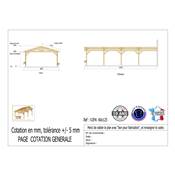 Abri 2 pentes Adossé Bois Douglas France Carport Auvent voiture 600x1250cm H 250cm