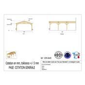 Abri 2 pentes Adossé Bois Douglas France Carport Auvent voiture 600x950cm H 250cm