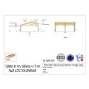 Abri 2 pentes Faitage Décalé Bois Douglas France Carport Auvent voiture 650x750cm H 250cm