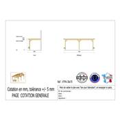 Abri Toit Plat Adossé Bois Douglas France Carport Auvent voiture 300x750cm H 250cm