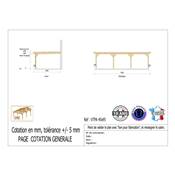 Abri Toit Plat Adossé Bois Douglas France Carport Auvent voiture 450x950cm H 250cm
