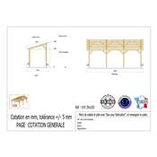 Abri 1 pente Bois Douglas France Carport Auvent voiture 350x1050cm H 250cm