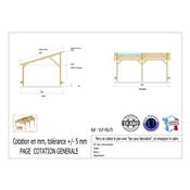 Abri 1 pente Bois Douglas France Carport Auvent voiture 450x700cm H 250cm
