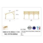 Abri 1 pente Bois Douglas France Carport Auvent voiture 500x800cm H 250cm