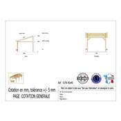 Abri 1 pente Adossé Bois Douglas France Carport Auvent voiture 400x400cm H 250cm