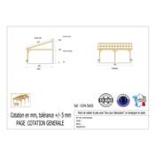 Abri 1 pente Adossé Bois Douglas France Carport Auvent voiture 500x550cm H 250cm