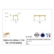 Abri 2 pentes Bois Douglas France Carport Auvent voiture 300x750cm H 250cm