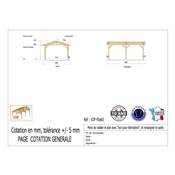 Abri 2 pentes Bois Douglas France Carport Auvent voiture 450x600cm H 250cm
