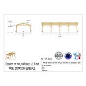 Abri 2 pentes Bois Douglas France Carport Auvent voiture 550x1150cm H 250cm