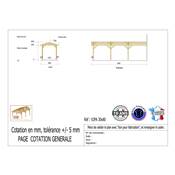 Abri 2 pentes Adossé Bois Douglas France Carport Auvent voiture 300x800cm H 250cm