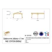Abri 2 pentes Adossé Bois Douglas France Carport Auvent voiture 550x500cm H 250cm