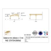 Abri 2 pentes Faitage Décalé Adossé Bois Douglas France Carport Auvent voiture 550x450cm H 250cm