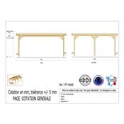 Abri Toit Plat Bois Douglas France Carport Auvent voiture 600x600cm H 250cm
