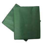 Lot 2 housses plantes 160x200cm 90g/m vertes