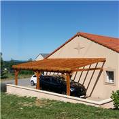 Abri Une Pente Adoss, Bois DOUGLAS Franais
