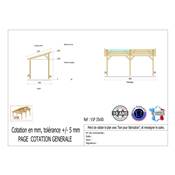 Abri 1 pente Bois Douglas France Carport Auvent voiture 350x500cm H 250cm