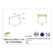 Abri 1 pente Bois Douglas France Carport Auvent voiture 450x400cm H 250cm
