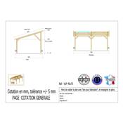 Abri 1 pente Bois Douglas France Carport Auvent voiture 450x750cm H 250cm