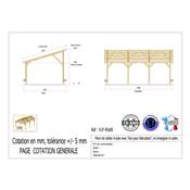 Abri 1 pente Bois Douglas France Carport Auvent voiture 450x800cm H 250cm