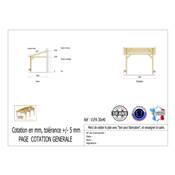 Abri 1 pente Adossé Bois Douglas France Carport Auvent voiture 300x400cm H 250cm
