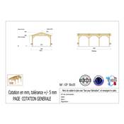 Abri 2 pentes Bois Douglas France Carport Auvent voiture 500x1050cm H 250cm