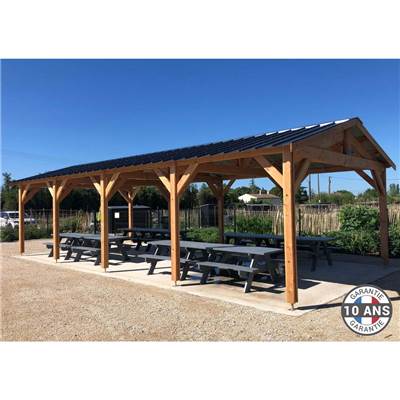 Abri 2 pentes Bois Douglas France Carport Auvent voiture 500x650cm H 250cm