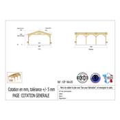 Abri 2 pentes Bois Douglas France Carport Auvent voiture 600x1050cm H 250cm