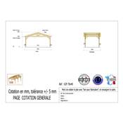 Abri 2 pentes Bois Douglas France Carport Auvent voiture 700x400cm H 250cm
