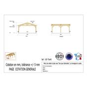 Abri 2 pentes Bois Douglas France Carport Auvent voiture 700x450cm H 250cm